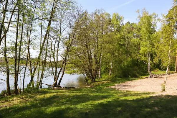 Swimming area at the Schwärzesee Schwärzesee in der Umgebung von Eberswalde